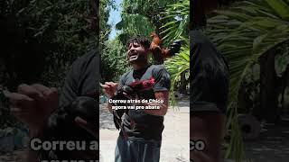 Saruê dando ordem a Chico shortvideo humorista humornacional [upl. by Arella]