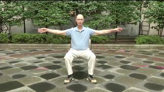 Sitting Tai Chi and Qigong Wellness Exercises 70 Speed [upl. by Laddy]