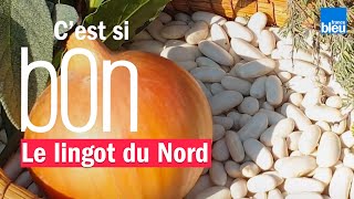 Le lingot du Nord le haricot blanc fondant et savoureux du Nord  Cest si bon [upl. by Given593]