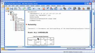 Cronbachs Alpha  SPSS part 1 [upl. by Ott]