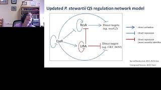 Studying Environmental Sensing and Response in a Bacterial Plant Pathogen  Inside Out [upl. by Bouzoun]