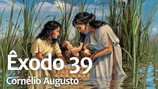 Biblia Falada  Êxodo 39 [upl. by Ahsitruc]