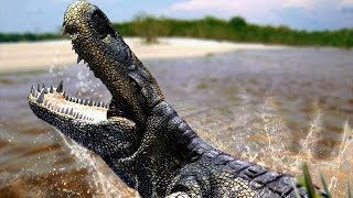 Purussaurus  The Biggest Crocodile That Ever Existed  Documentary EnglishHD [upl. by Lucille705]