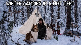 Winter Camping in a Hot Tent with My Dogs [upl. by Opiuuk314]