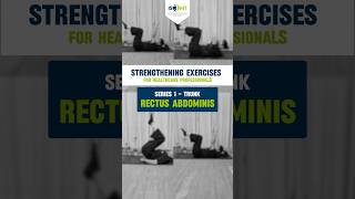 3 Effective ways of strengthening Rectus abdominis muscle  Exercises for Healthcare professionals [upl. by Ahtenek]