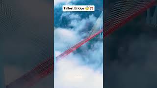 World tallest bridge amazingfacts chinabridge factsinhindi bridge interestingfacts trending [upl. by Sathrum]