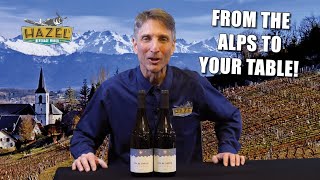 Pinot Noir from the Alps This Week [upl. by Terryl]