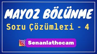 MAYOZ BÖLÜNME SORU ÇÖZÜMLERİ  4  ✅ [upl. by Buke]