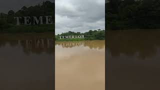 Ride Temerloh  Pahang Malaysia  patin tempoyak pak usup travel viralvideo malaysia trending [upl. by Brucie]