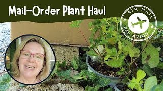 Unboxing a Plant Haul from GreatGardenPlantscom  Garden Vlog July 2024 Week 3 [upl. by Annohsed]