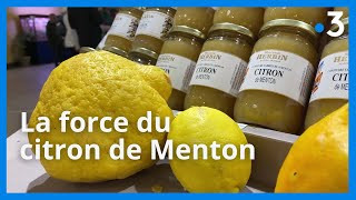 Le citron de Menton un agrume réputé [upl. by Funch179]