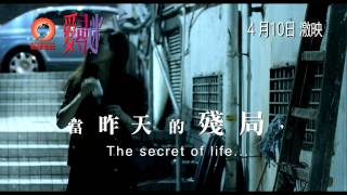 《愛．尋．迷》最新預告片 Trailer [upl. by Riehl990]