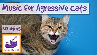 Music for Aggressive Cats Music to Relax and Calm Cats with Aggression Music for Grumpy Cat [upl. by Cary670]