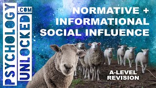 Normative and Informational Social Influence  Social Influence  Psychology ALevel Revision Tool [upl. by Nesnej]