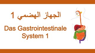 19اللغة الألمانية الطبية  الجهاز الهضمي 1  Medizinische Fachsprache  Gastrointestinales System 1 [upl. by Esiocnarf535]