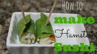 How to make HAMSTER SUSHI [upl. by Anilrahc]