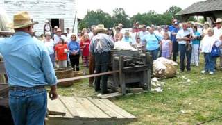 Horse Powered Cotton Gin Demo  Southeastern Threshers Reunion [upl. by Corder]