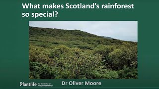 The Lichens and Bryophytes of Scotland’s Rainforest [upl. by Saber]