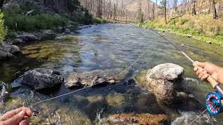 Idaho Fly Fishing 2024 ep2 [upl. by Romilly]