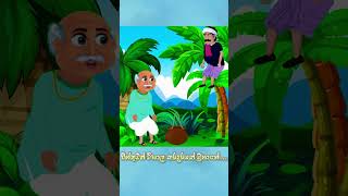 Sinhala Fairy Tales  sinhala cartoon Lama Kathandara  squishypandacartoon shorts [upl. by Charters]