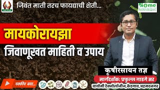 मायकोरायझा जिवाणूखत माहिती आणि उपाय [upl. by Eirot]