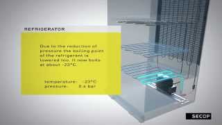 Refrigerant Circuit with a Reciprocating Compressor [upl. by Yreme]