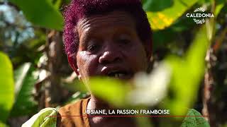 WAGÉÉRI  Josiane la passion framboise [upl. by Nette]