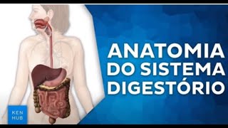 Fisiologia Motilidade Gastrointestinal e Homeostase [upl. by Nylahsoj]