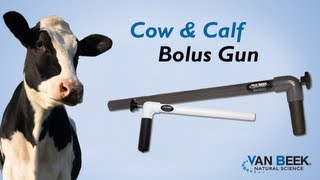 How to Administer Capsules using the Bolus Gun [upl. by Gnex]