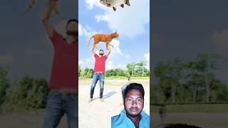 Ye aadmi bili pakad liya😄🥰newfunnycomedy cartoonytshortsshorts viralvideofuntrendingreels [upl. by Ward]