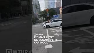 Dog owner jumps on dognapper’s car trying to escape [upl. by Lorita]