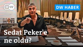 Sedat Peker iki kırmızı bülten sonrası dönüyor mu  Avukatı yanıt verdi [upl. by Esiuqram]