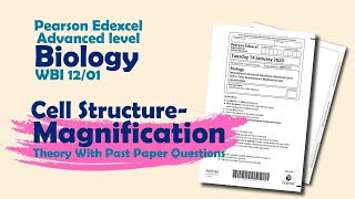 Cell Structure  Magnification  Pearson Edexcel International Advanced Level Biology [upl. by Diane]