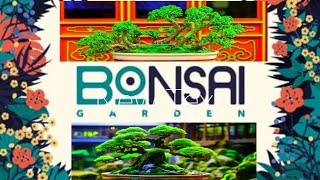 Bonsai show at suntec city bonsai garden festival [upl. by Selimah]