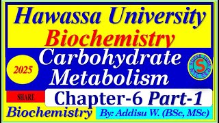 carbohydrates metabolism part1 interview exam digestion biochemistry 2024 [upl. by Belldame]