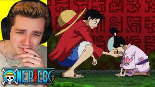 MOMONOSUKE ASKS LUFFY one piece reaction [upl. by Arni]