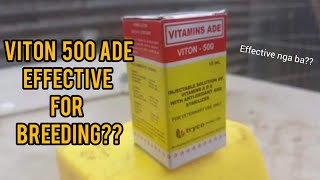 VITON 500 ADE Effective For Breeding Vlog  22  Panis Brother Game Farm [upl. by Kneeland]