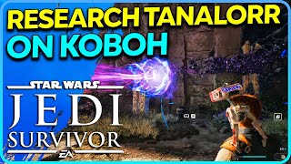 Research Tanalorr on Koboh Puzzles Star Wars Jedi Survivor [upl. by Dnalloh]