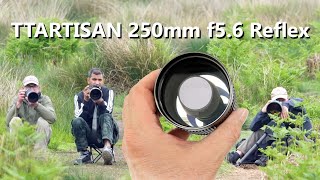 Having fun with TTARTISAN’s new compact 250mm reflex mirror lens [upl. by Nelak384]