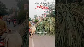 TULSI VIVAH STATUS  BHATAPARA UPDATE [upl. by Swigart]