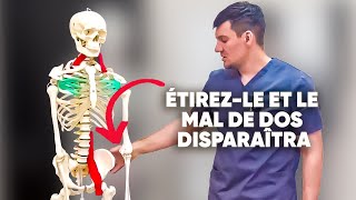 Étirez ce muscle et oubliez les douleurs dorsales Nattendez pas faitesle maintenant [upl. by Ennaylloh492]