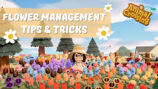 Flower Management Tips amp Tricks  Animal Crossing New Horizons [upl. by Ledua379]