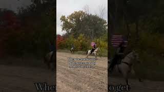 The joys or trying to slow lope a barrel horse next to another horse 😂 trump2024 tfcaptinslilly [upl. by Irotal]