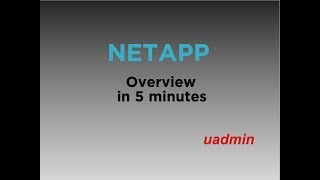 NetApp ONTAP CLUSTER overview in less than 5 minutes [upl. by Yttik]