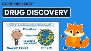 Drug Discovery  GCSE Biology [upl. by Verene]