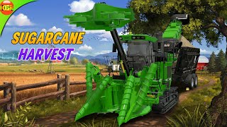 Sugarcane Harvesting with Max Yield  John Deere amp CaseIH Farm FS23 116 [upl. by Acirt]