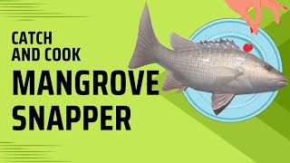 Catch and cook with mangrove snapper [upl. by Ellesig]