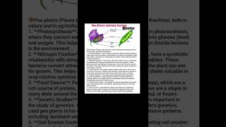 Pea 🫛 pisum sativum function 🔥💯 3D figure details digram 🔥trendingshorts study neetbiology [upl. by Aikat]