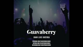 Pista Karaoke Demo Guavaberry Juan Luis Guerra  Favius Producciones [upl. by Ewolram]