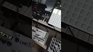 Lxr drum synth  polivoksm [upl. by Enidlarej46]